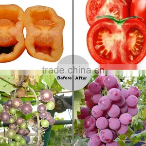 E27 24w Led Grow Light Marshydro Veg Flowerfull Spectrum Led Grow Light thumbnail-6