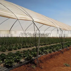 Tunnel-600 Agricultural Economical Greenhouse thumbnail-1