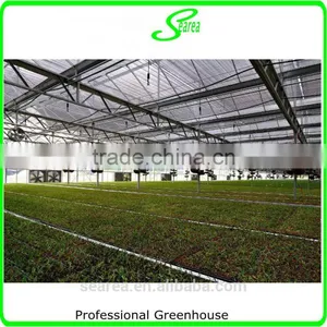 UV Protcetion Polycarbonate Sheet Greenhouse thumbnail-2