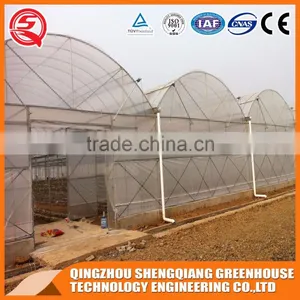 Plastic Film Greenhouse for Vegetables Planting,flowers,culture thumbnail-3