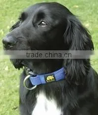 Magnetic Pet Collars thumbnail-1