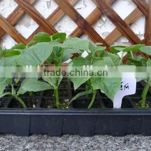 Custom Black Hydroponic Flood Tray thumbnail-2