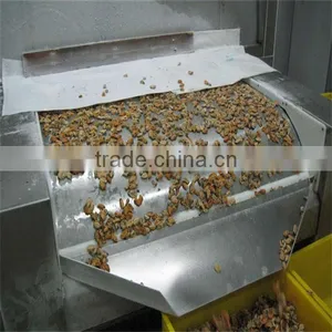 Best Mussel Supplier thumbnail-1