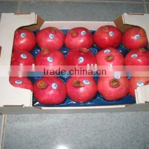 High Quality PP Disposable Plastic Sushi Tray thumbnail-4