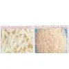 Rice thumbnail-1