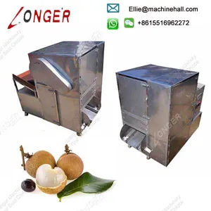 Automatic Removing Coring Longan Pitting Machine thumbnail-4