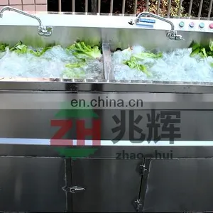 Home Use Ozone Mushroom Lettuce Spinach Leaf Vegetable Washing Machine thumbnail-7