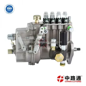 Cav Injector Pump Assembly BH4Q80R8 Diesel Injection High Pressure Oil Pump thumbnail-1