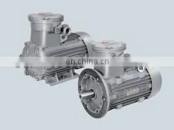 Siemens 1MB0063 0.55kw~315kw Low-Voltage Explosion-proof Electric Motor thumbnail-3