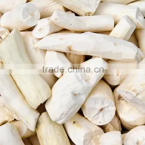 Best Prices Fresh Cassava Root Planter for Export thumbnail-1
