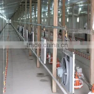 Feeding Line for Broiler and Breeder thumbnail-1