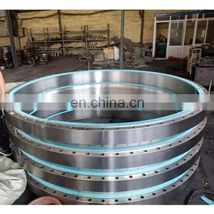 Large Diameter Carbon Steel Pipe Flanges Stainless Steel Threaded Flange thumbnail-3