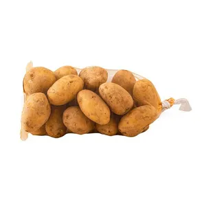 Low Price Recyclable Environment Protection Packaging Use Pe Plastic Mono Mesh Bag thumbnail-6