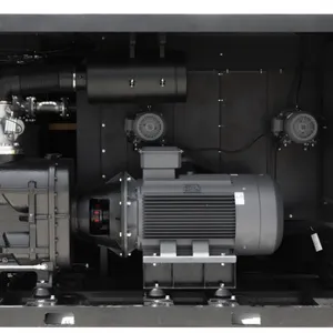 Permanent Magnet Rotary Screw Compressor for Automotive Painting Systems thumbnail-4