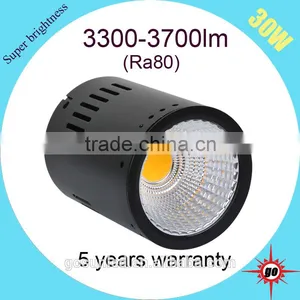 Hot Selling 30W Surface Mounted LED Downlight With CE/RoHS/SASO/SAA/GS Certificate thumbnail-1