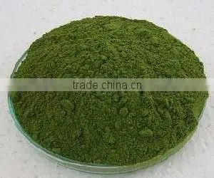 Moringa Leaf Powder From India thumbnail-1