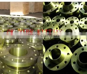 Forged and Plate Flanges ASTM A240, ASME SA240, ASTM B 649 / ASME SB 649 thumbnail-3
