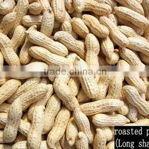 New Crop Roasted Peanuts for Sale thumbnail-1