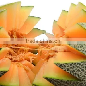 Fresh Melon Sweet Melon Price thumbnail-1