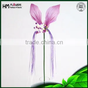 Ornamental Plants Lucy Cat thumbnail-1