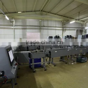 Automatic Packing Line thumbnail-3