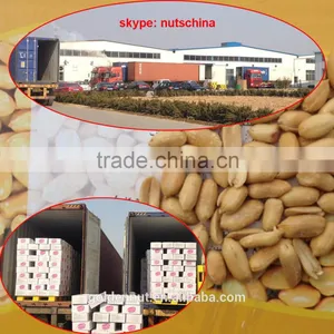 ROASTED SALTED PEANUTS thumbnail-1