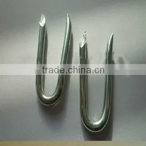 Barbed U-shape Nails/Square Bottom U Shaped Nail (ISO9001) Quality Choice thumbnail-5