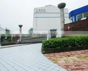 Chongqing Lisong Electromechanical Equipment Co., Ltd. company overview - view 1 thumbnail