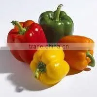 Oleoresin Capsicum thumbnail-5