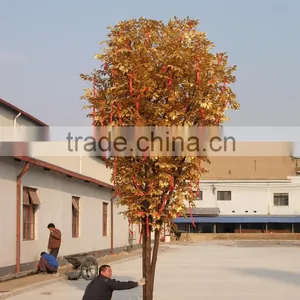 Christmas Decoration Ficus Tree thumbnail-2