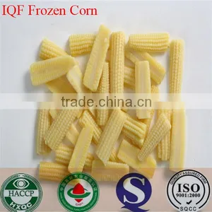 IQF Freezing Process and Frozen Style Canned Sweet Kernel Baby Corn thumbnail-1