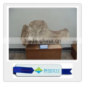Simulation Natural Size Dinosaur Fossil thumbnail-1