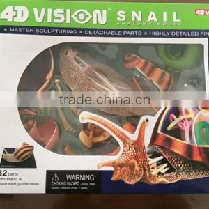 V-AM055 4D MASTER Snail Specimens Anatomical Model thumbnail-6