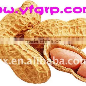 Wholesale Fried Salted Peanuts From Shandong, China thumbnail-3