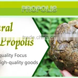 100% Pure Propolis/high Quality Bee Propolis thumbnail-4