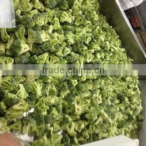 Hot Sell Frozen Fresh Broccoli Cut thumbnail-3