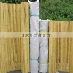 Bamboo Poles and Bamboo Bent Pole thumbnail-6