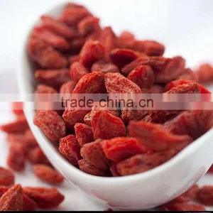 Goji/gojiberry thumbnail-2