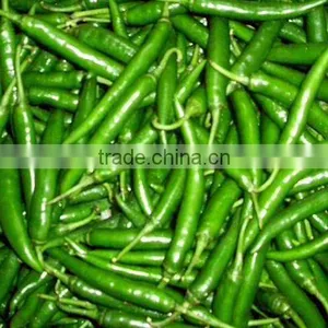 Green Chilli thumbnail-1