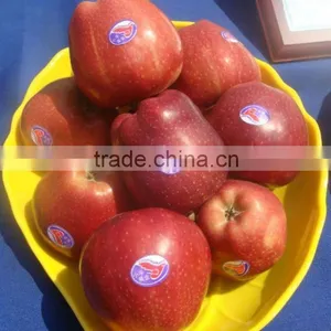 2012 New Crop Huaniu Apple thumbnail-1
