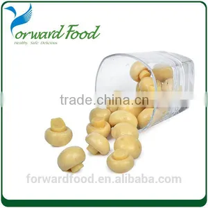 New Crop Mushroom Canned in Whole or Pieces thumbnail-4