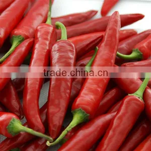 2016 New Crop Factory Exporter Fresh Red Chilli With Haccp, Halal Certificates thumbnail-1