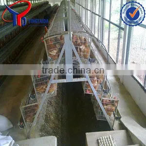 Poultry Farming Equipment for Commercial Chicken thumbnail-1
