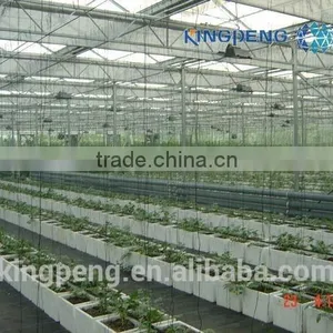 Glass Greenhouse for Agricultural (ISO9001:2000) thumbnail-3