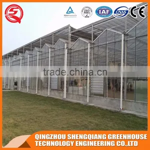 8mm Glass Greenhouse and Hot Dip Galvanized Frame for Sale thumbnail-2