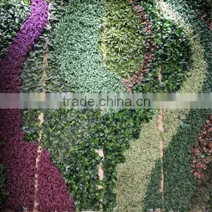Artificial Grass Wall China Factory (5X5.5m) Pattern Plant Wall thumbnail-1