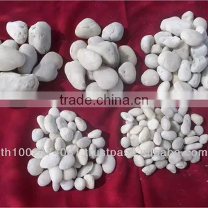 Aquariums Stone thumbnail-1