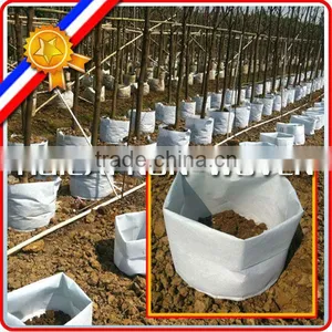 Customized Weight Non Woven Tree and Plant Grow Bag,planting Bags, Tree Planting Bag thumbnail-3
