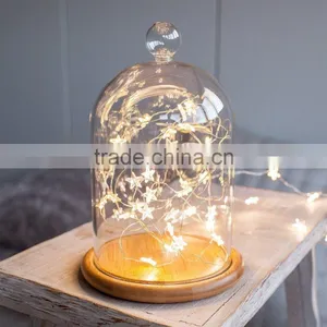 Glass Jar Warm White Mini Led Lights for Crafts thumbnail-1