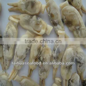 Seafood Cooked Razor Clam Meat thumbnail-1